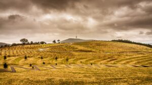 An image of the Arboretum on a cloudy day - the grass is dry and yellow . You can see the Black Mountain Tower and Black Mountain in the distance. 