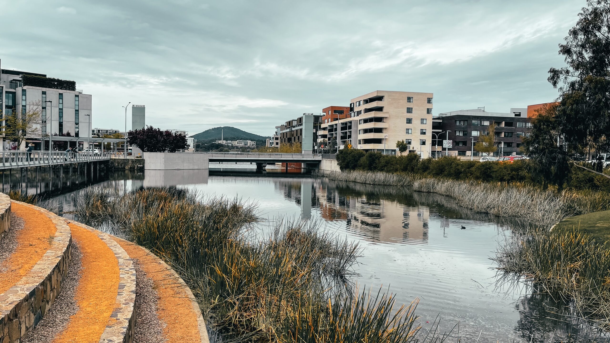 An image of a pond with rushes, surrounded by buildings and hard landscaping. The suburb of Russell is visible in the background.